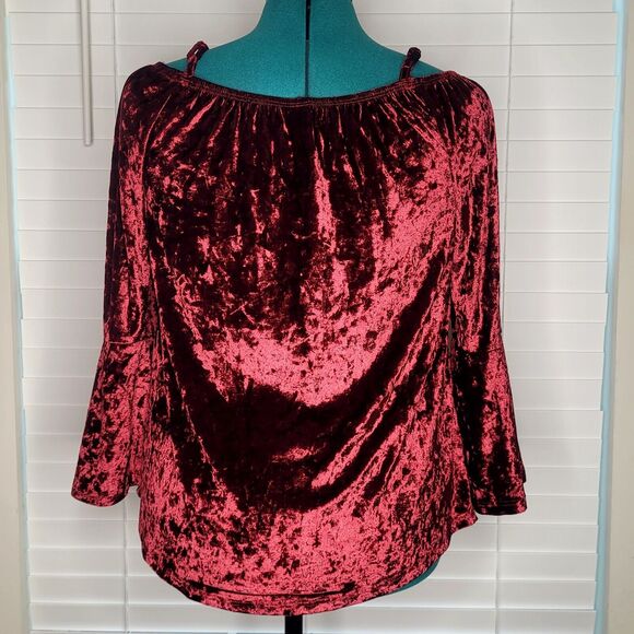 Oxblood Crushed Velvet Peasant Fairy Renaissance Ren Fest Boho Goth Royal Maiden - Picture 4 of 8